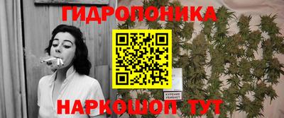 PSILOCYBIN Бийск