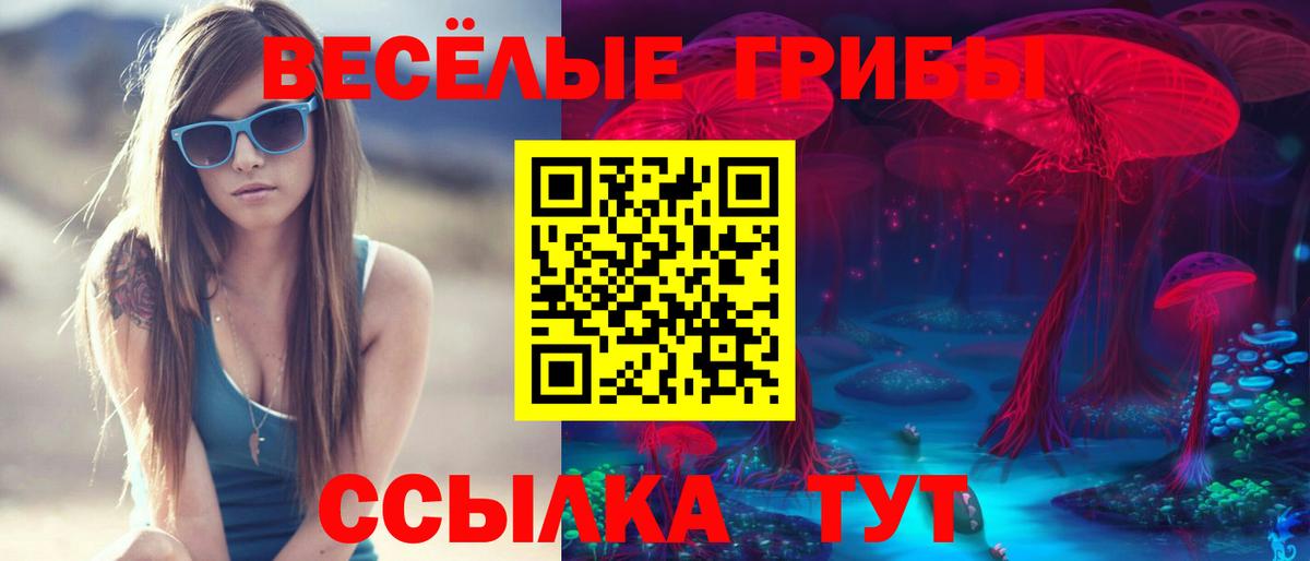 Галлюциногенные грибы Psilocybine cubensis Качканар